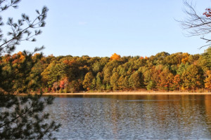 Henry David Thoreau lived at Walden Pond from July 1845 to September ...
