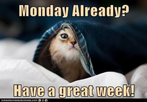 Monday Already Have a Great Week