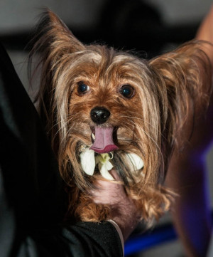 Sex in the City Glam » Urban Style