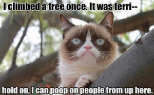 funny-pictures-grumpy-cat-just-figured-out