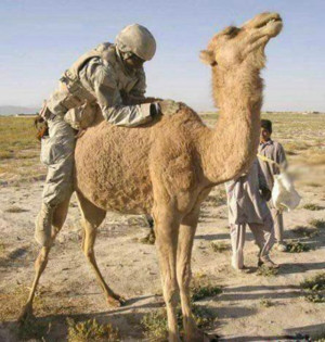Download funny Army pictures