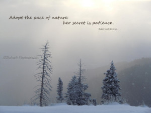 Nature Photography, Inspirational Quotes, Winter Wonderland Snowy ...