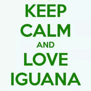Keep calm quotes #Iguana #keepcalm