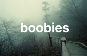 boobies, lol, lol omg, omg so deep, quote, text, words