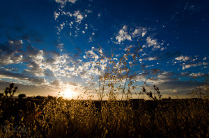 The sound of 'gentle stillness' after all the thunder and wind have ...