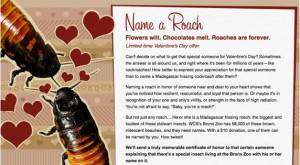 businessinsider.comThe 21 Worst Valentine's Day Ads Ever - Business ...