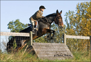 Here are more pictures of Jumping Mules: