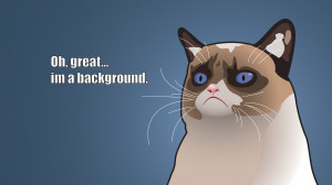 Funny Grumpy Cat Cartoon Background HD Wallpaper Funny Grumpy Cat