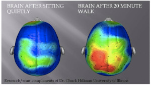 Ummm yah. Who’s up for a 20-minute walk during lunch hour?! (more ...