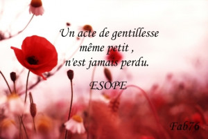 Alerter les modérateurs Voir l'image au format original