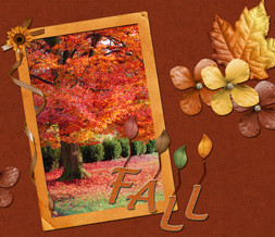 Fall Quotes Wallpaper - Pretty Fall Tree Background Preview