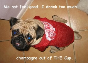 Detroit Red Wings Funny Dog Pet Photo Magnet Spawty.com