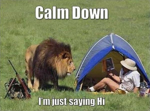 Animal Memes – Calm down