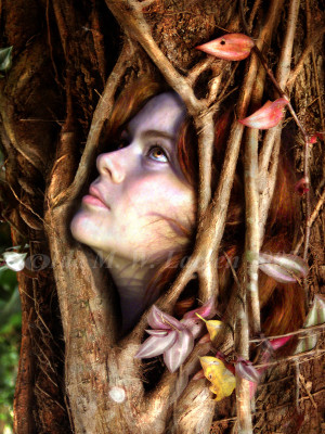 Tree_Woman-Ida Larsen