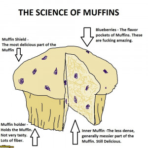 The Science of Muffins random