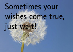 Sometimes your wishes come true, just wait !