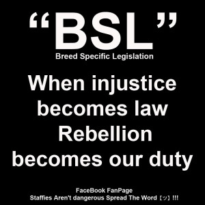 SIGN HERE to STOP BSL! Too many innocent family pets have been ...