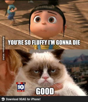 Post your favourite Grumpy Cat Meme pictures here