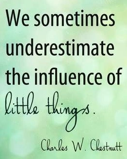 Influence of little things quote via Carol's Country Sunshine on ...