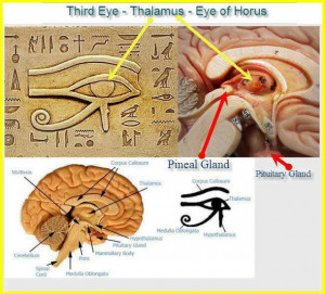 Secrets Of The Third Eye, The Eye Of Horus, Beyond The Illuminati