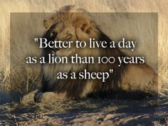 Better to live a day as a lion than 100 years as a sheep.