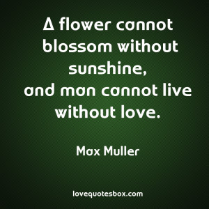 Cannot Lie Unaffected Love Quotes