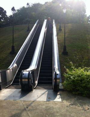 Funny photos funny escalator park nature