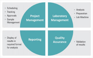 what type of information would be stored in lims