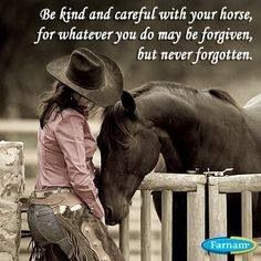 horse quote more equine cowgirls with hors animal hors insta quotes ...