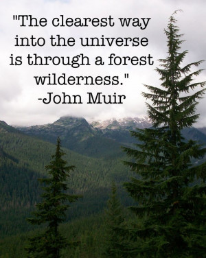 ... way into the universe is through a forest wilderness - John Muir
