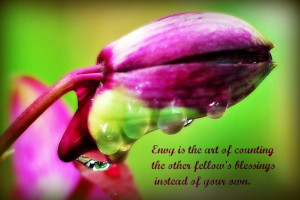 ... pictures of my blooming orchids in the garden quote from Harold Coffin