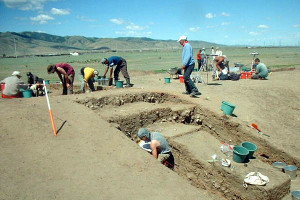 Funny Quotes Contact Dmca