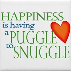 love my snuggle puggles more puggle puppies puggle quotes dogs ...