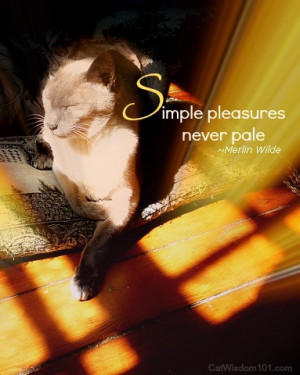 ... cat, assisting blid Merlin navigate blind spots and lending support