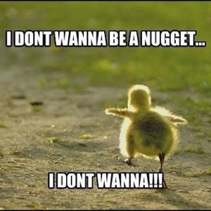 Chicken Nuggets.