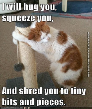 funny-cat-picture-i-will-love-you-squeeze-you