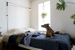 Bed hog - Interiors Inspiration, B Rolls, Collection Soul, Beds Hog ...