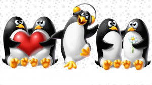 Penguins In Love Desktop Wallpapers and Backgrounds
