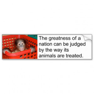 Gandhi Quote Cute Animal Bumper Stickers
