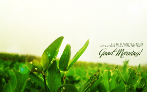 Good morning green tea with quote