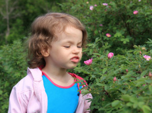 If you're the site owner , log in to launch this site.