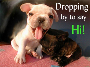 Email This Picture as Ecard