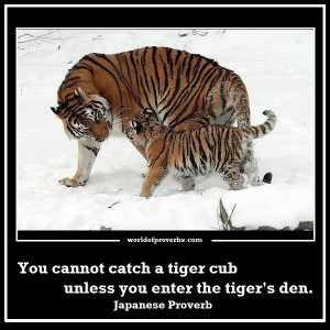 tiger cub unless you enter the tiger s den japanese proverb 19598
