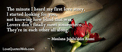The minute I heard my first love story, I started looking for you ...