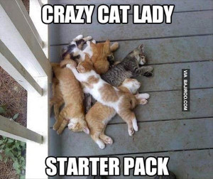 funny-cat-ladystarter-pack-meme