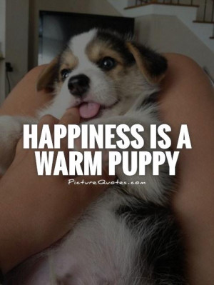 Happiness Quotes Dog Quotes Charles M Schulz Quotes