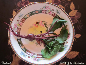 Baby Beet, Steamed and Dressed