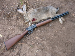 Jack Rabbit Hunting