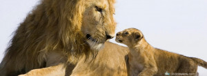 Lioness With Her Cute Baby Cub