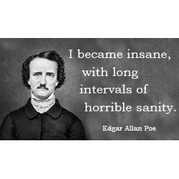 SALE Edgar Allan Poe Quote Magnet - Insanity